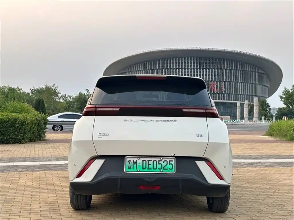 BYD Seagull 2024