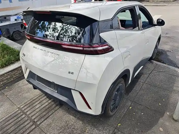 BYD Seagull 2024