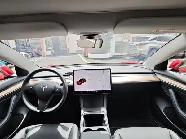 Tesla Model 3 2019