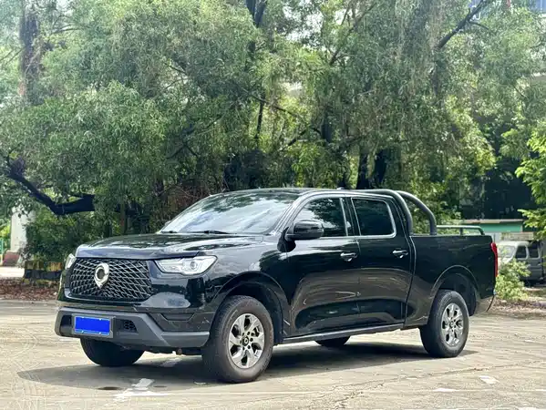 Great Wall Poer 2023