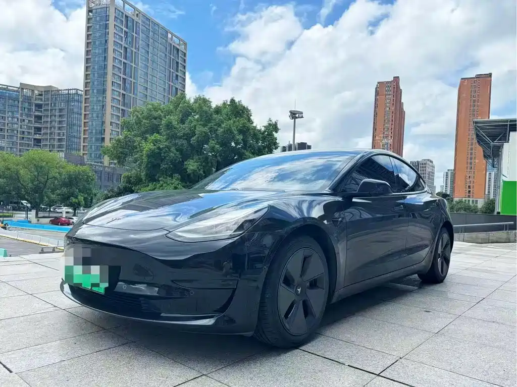 Tesla Model 3 2021 — фото 1