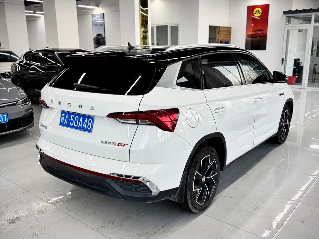 Skoda Kamiq 2022 — фото 6