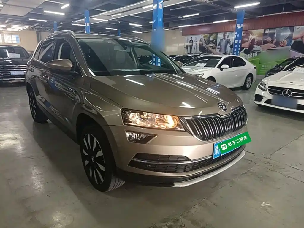 Skoda Korok 2019
