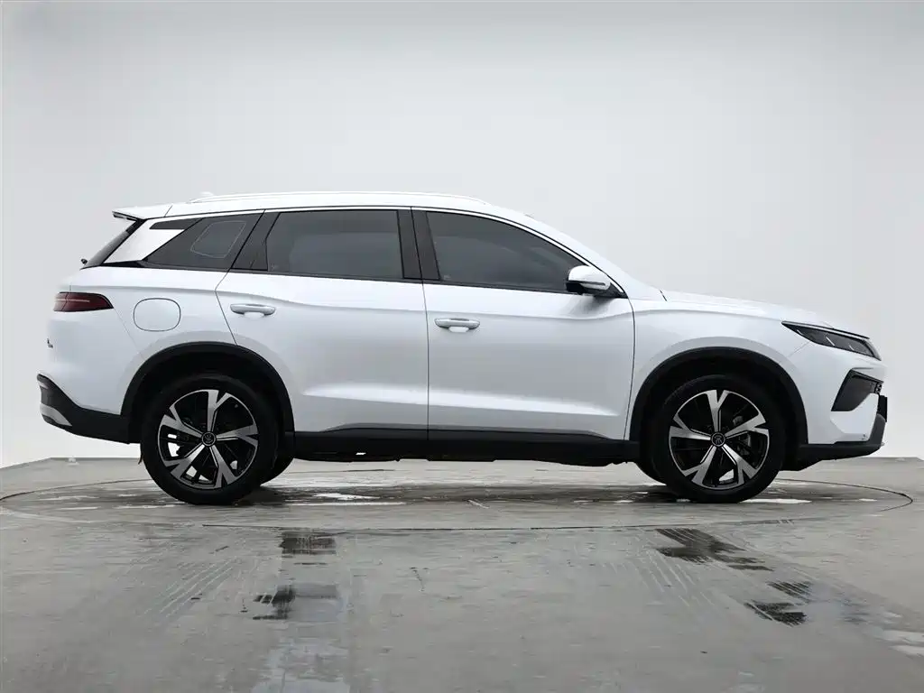 BYD Pro New Energy 2024 — фото 6