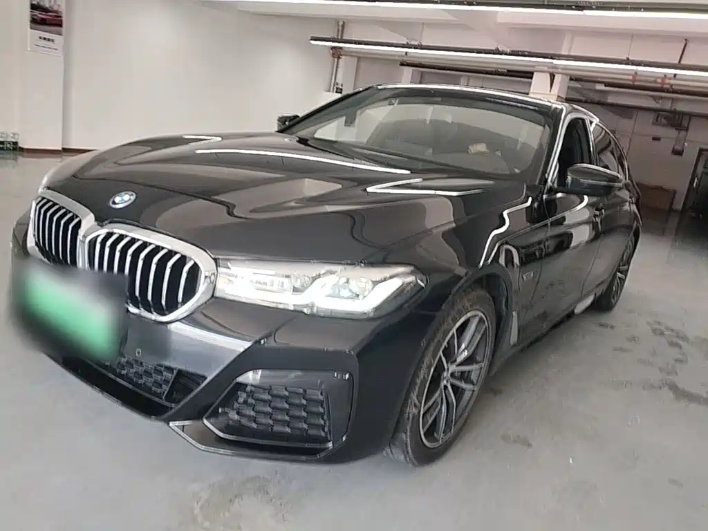 BMW 5 Series New Energy 2021