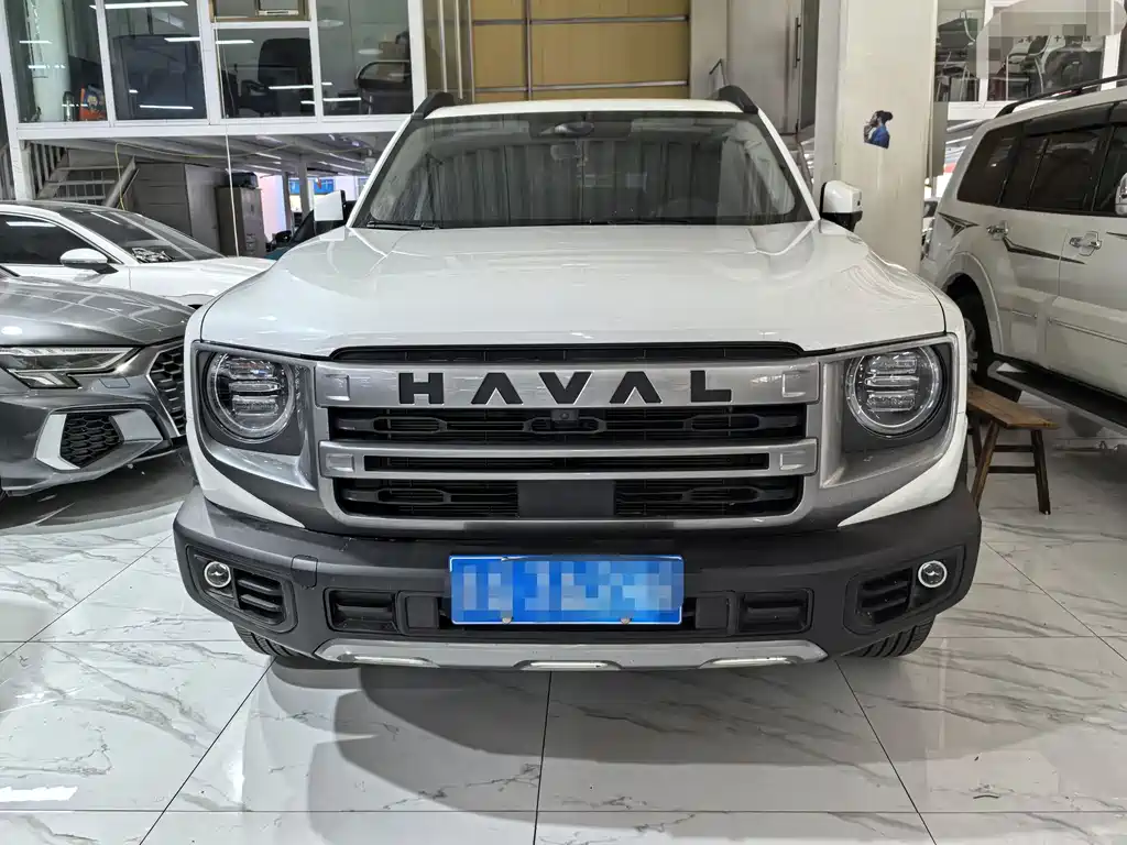 Haval Big Dog 2024