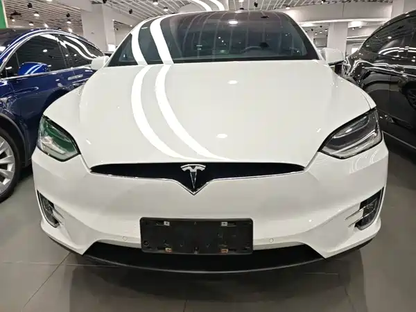 Tesla Model X 2019