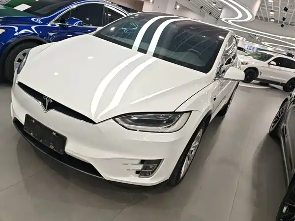 Tesla Model X 2019