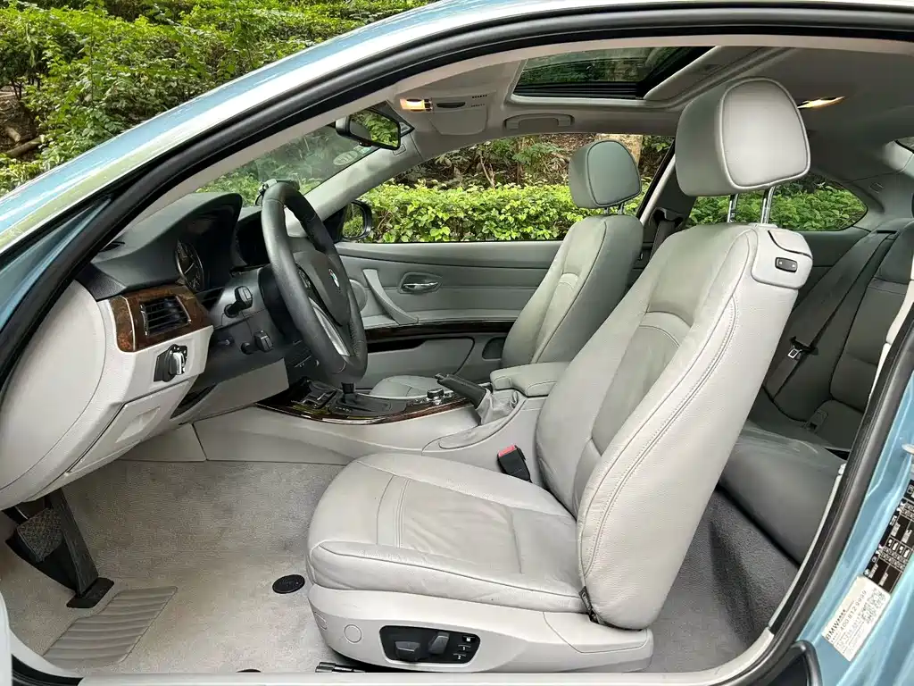 BMW 3 Series 2010