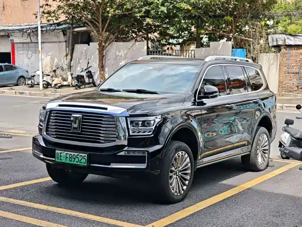 Tank 500 New Energy 2024