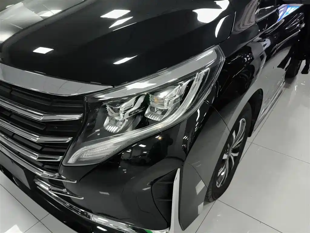 GAC Motor Trumpchi M8 2024 — фото 18