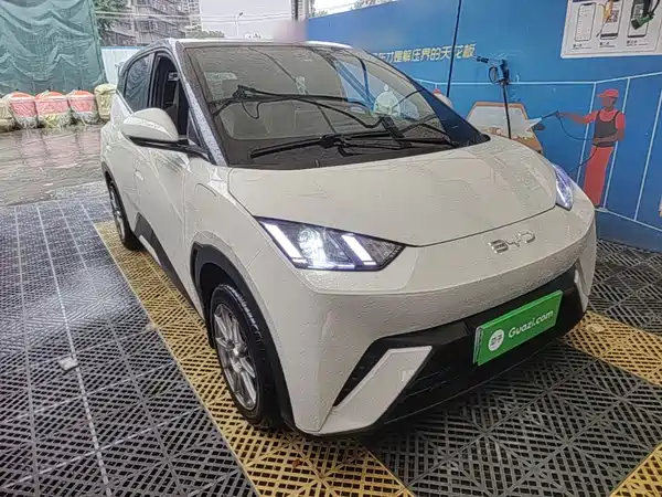 BYD Seagull 2024