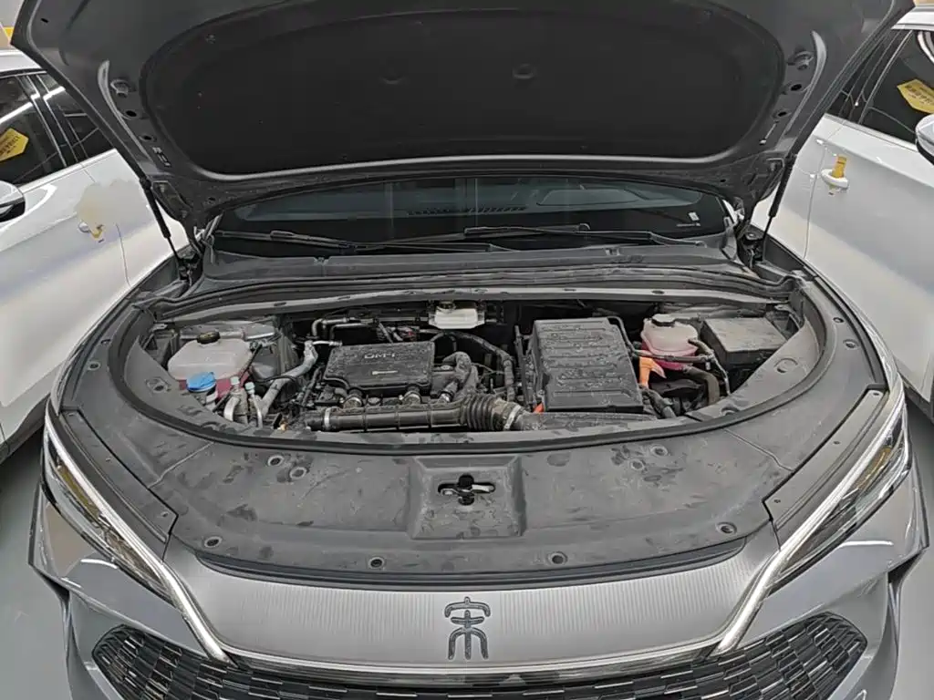 BYD Song L DM-i 2025 — фото 20