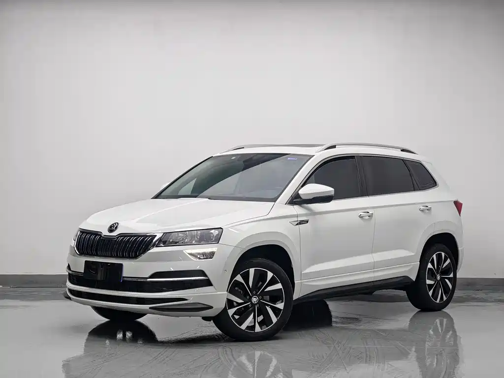 Skoda Karoq 2023 — фото 1