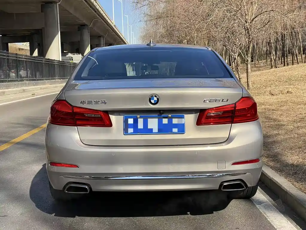 BMW 5 Series 2018 — фото 13