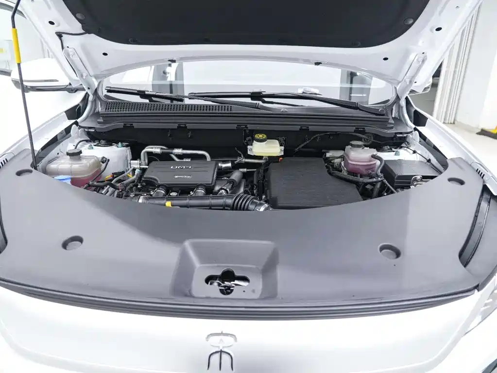 BYD Pro New Energy 2025 — фото 20