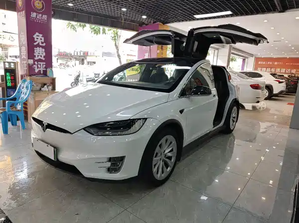 Tesla Model X 2020