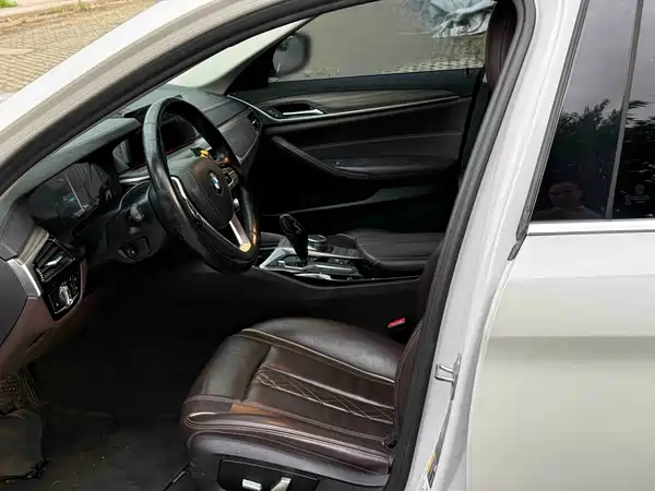 BMW 5 Series New Energy 2019