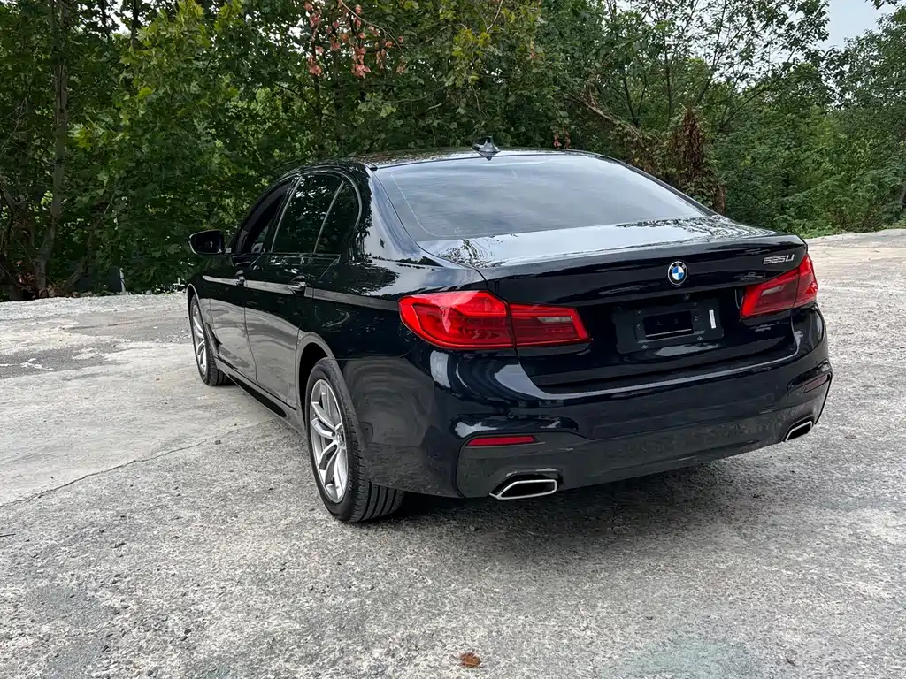 BMW 5 Series 2018 — фото 12