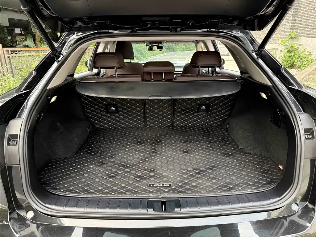Lexus RX 2021 — фото 18