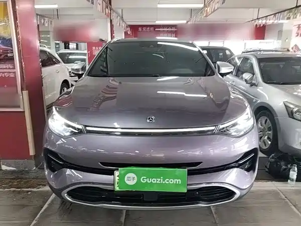 Denza X 2021