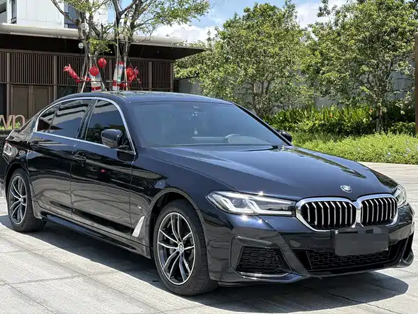 BMW 5 Series New Energy 2021