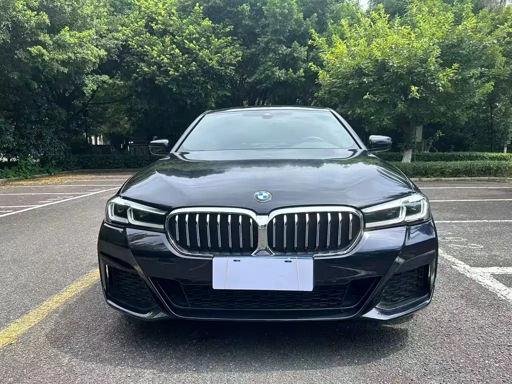 BMW 5 Series 2021