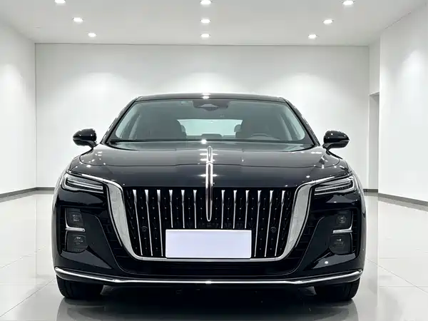 Hongqi H5 2024