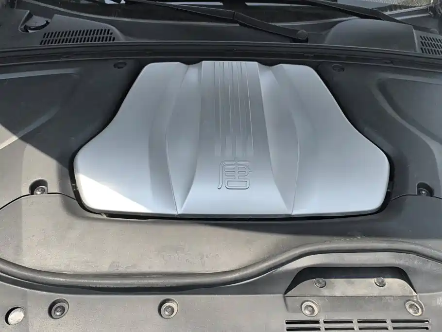 BYD Tang New Energy 2019 — фото 10