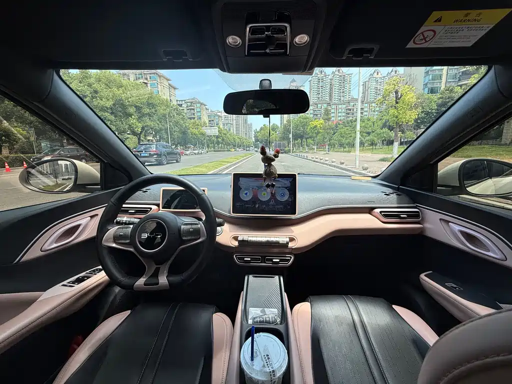 BYD Seagull 2024
