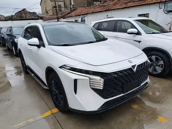 Venucia Big V 2022
