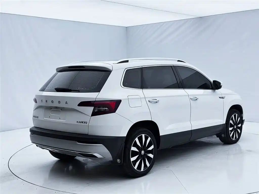 Skoda Karoq 2021 — фото 8