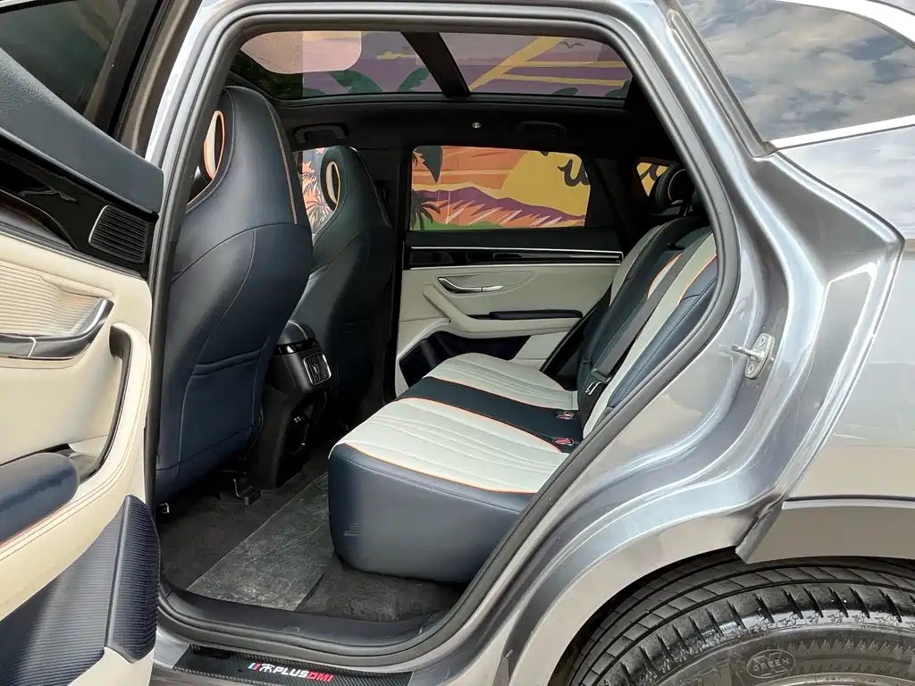 BYD PLUS New Energy 2022 — фото 14
