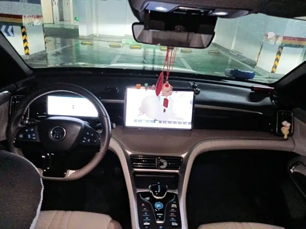 BYD Song Pro New Energy 2024 — фото 5