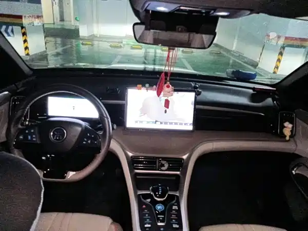 BYD Song Pro New Energy 2024
