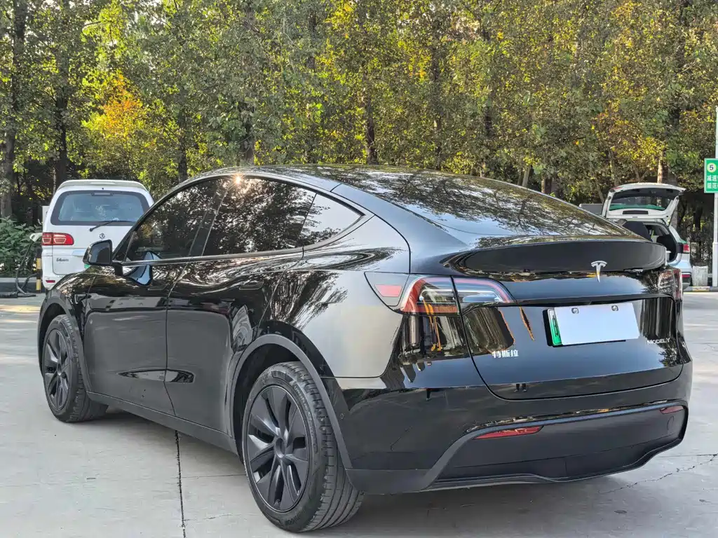 Tesla Model Y 2024 — фото 10
