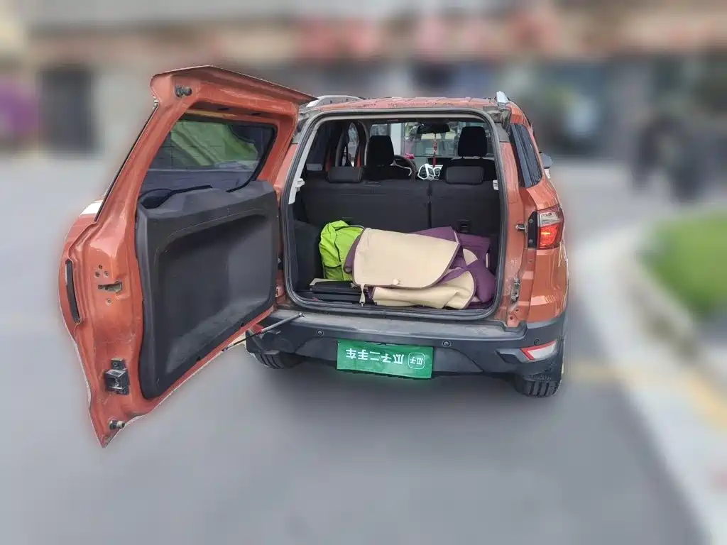 Ford Ecosport 2015 — фото 16