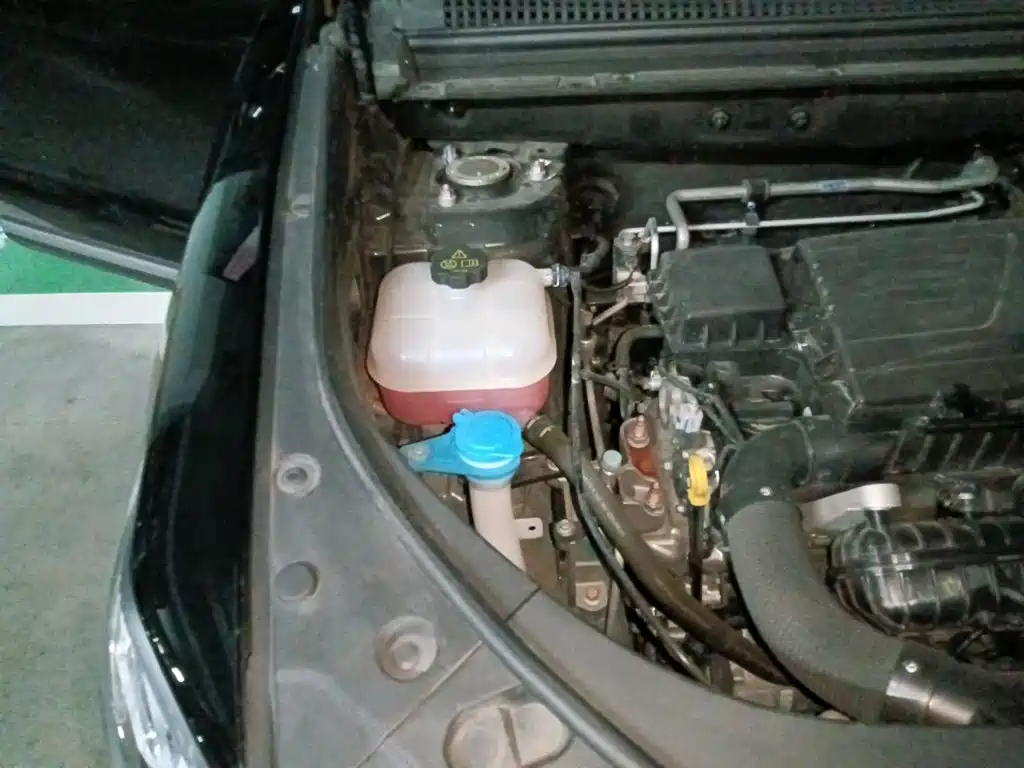 BYD Song Pro New Energy 2024 — фото 20