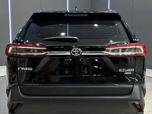 Toyota Wildlander 2024