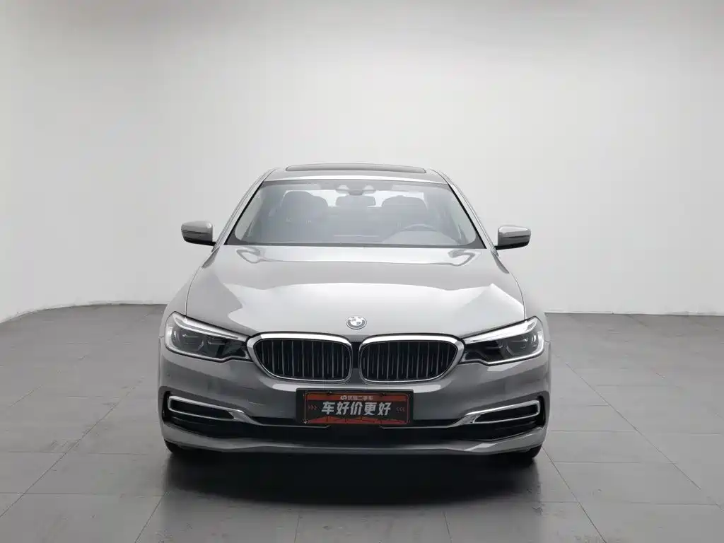 BMW 5 Series New Energy 2020
