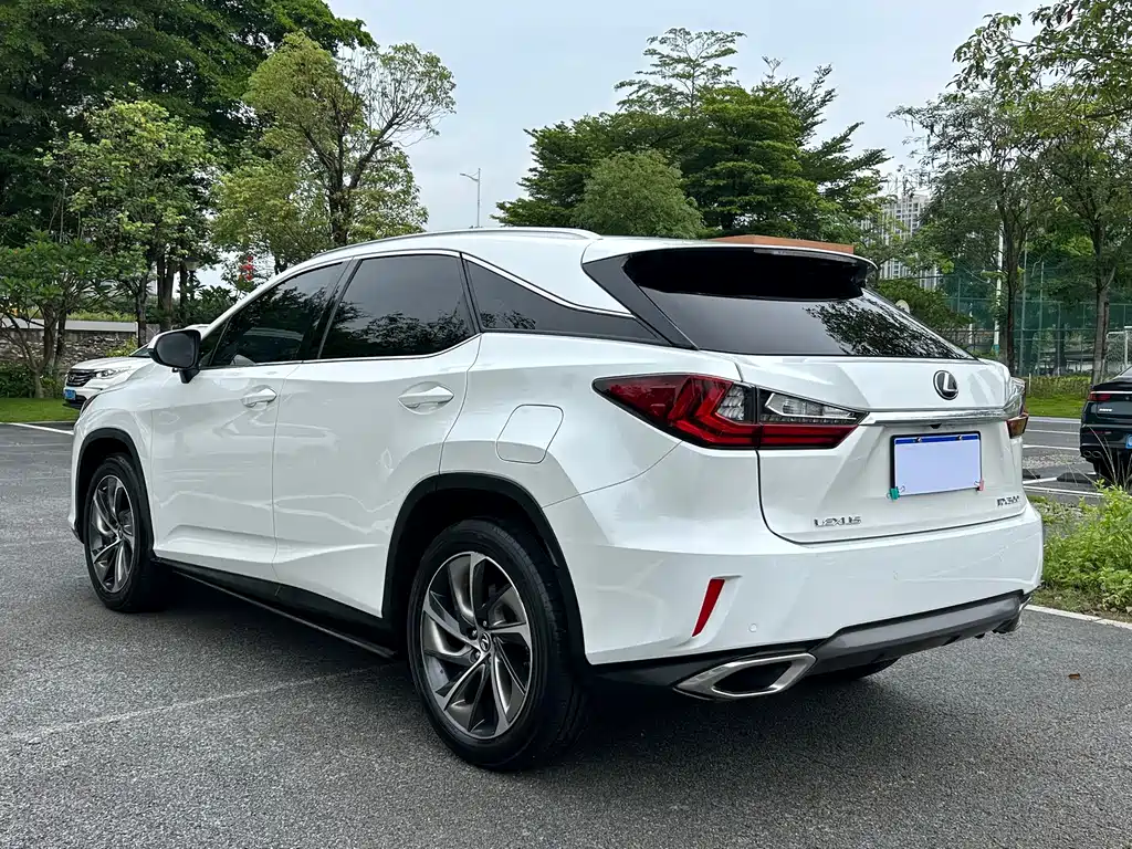 Lexus RX 2018 — фото 35