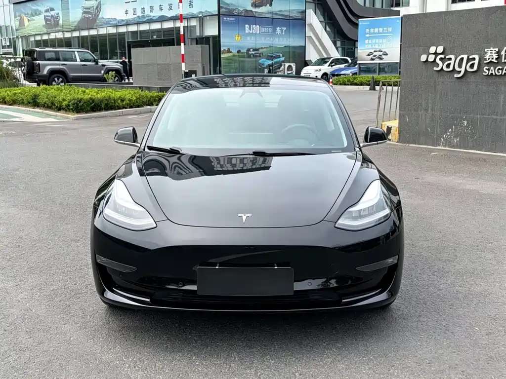 Tesla Model 3 2019