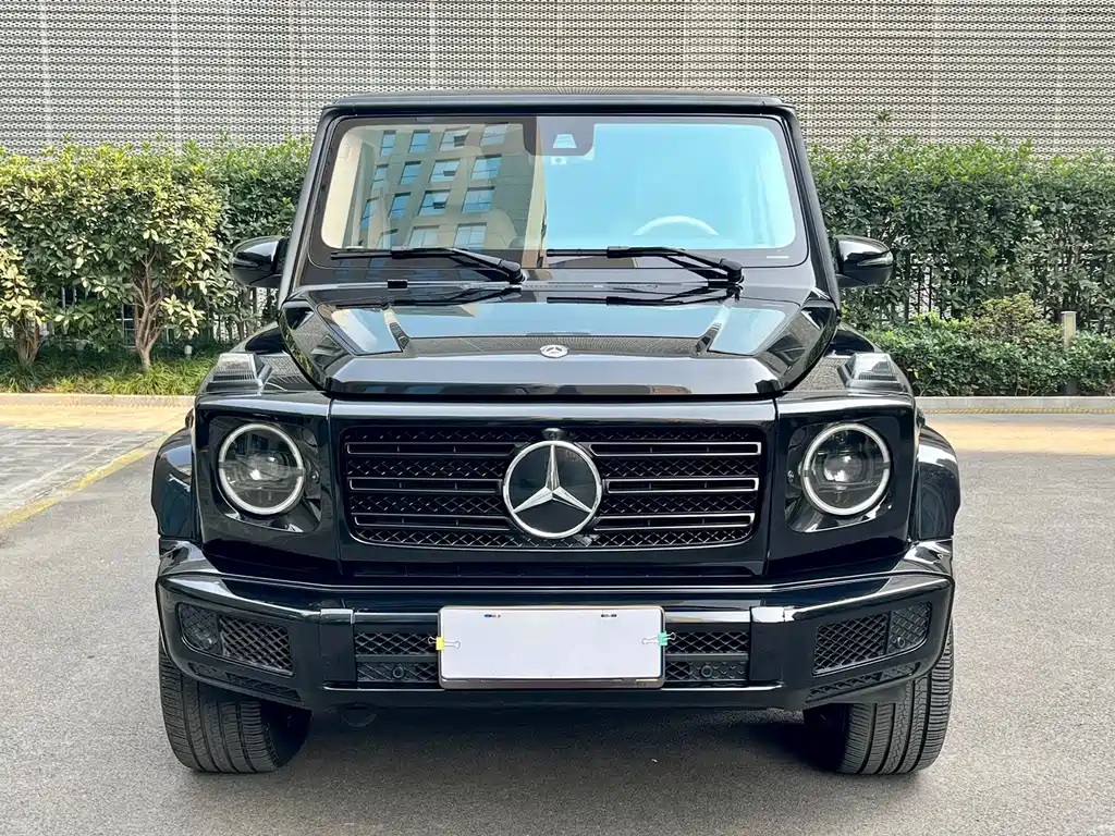 Mercedes-Benz G-Class 2020 — фото 2