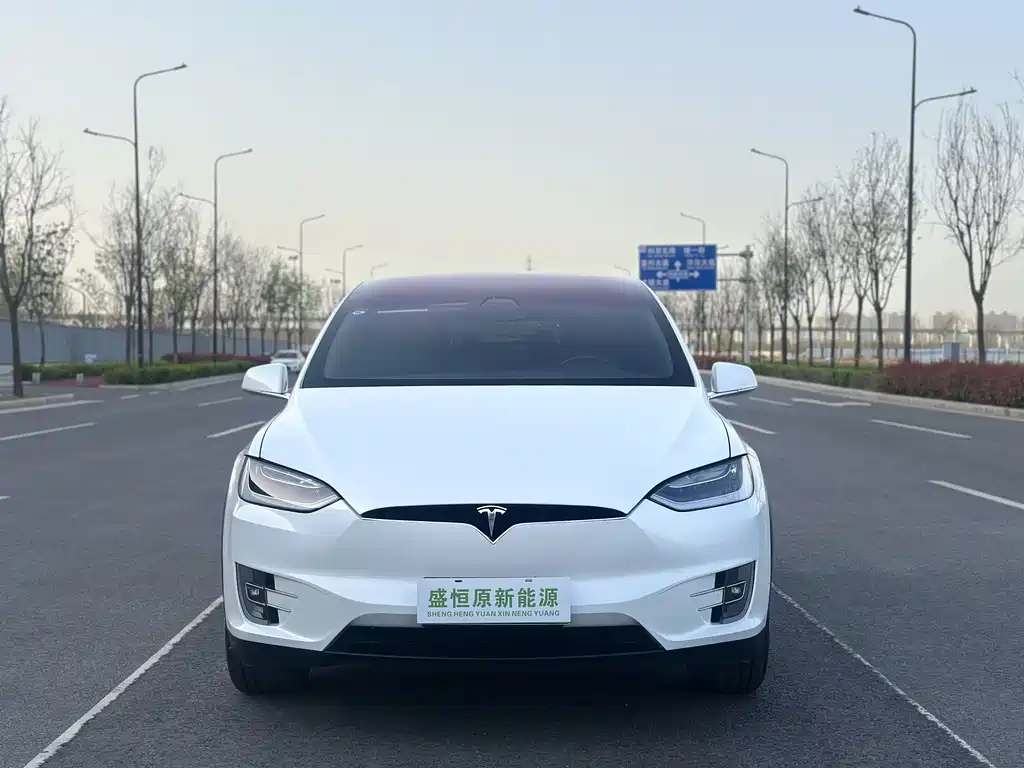 Tesla Model X 2019 — фото 2