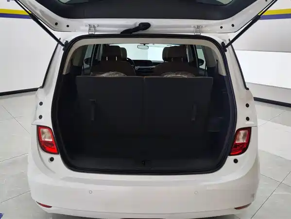 Buick GL6 2021