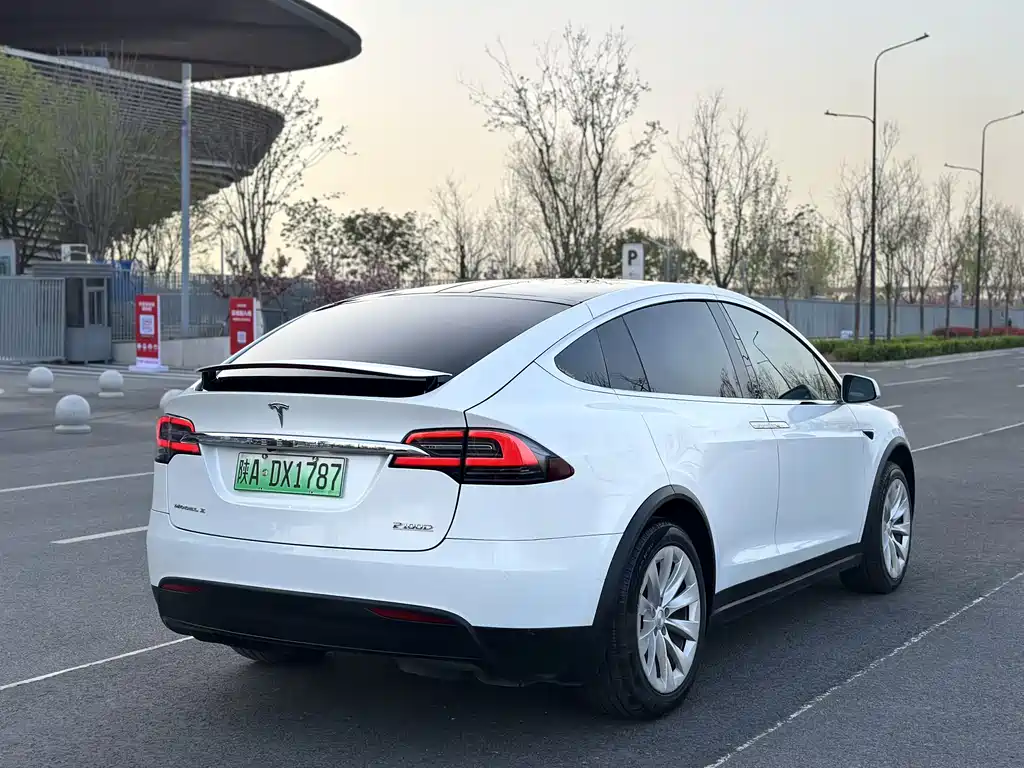 Tesla Model X 2019 — фото 9