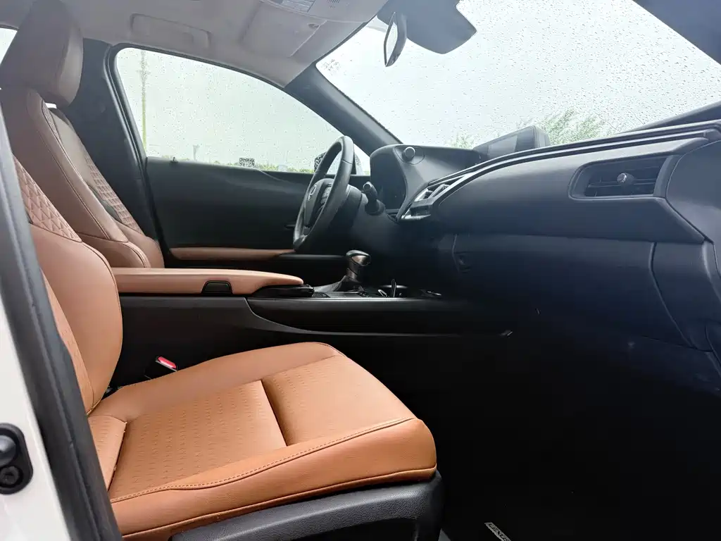 Lexus UX 2020 — фото 13