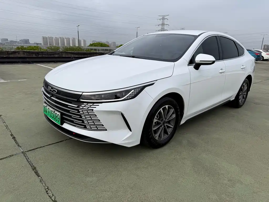 BYD Destroyer 05 2024 — фото 1
