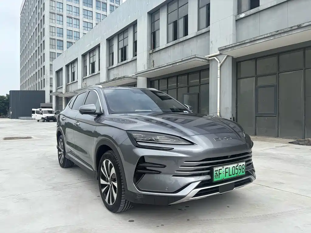 BYD PLUS New Energy 2024 — фото 3
