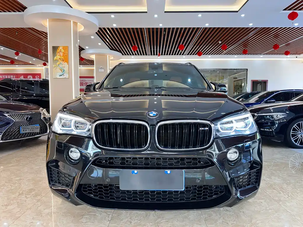 BMW X5 M 2017 — фото 2